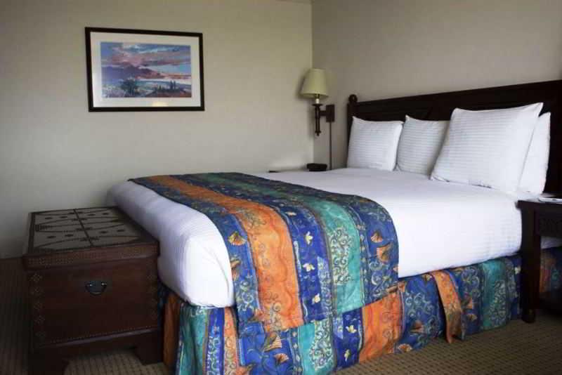 Hotel Lucerna Culiacan Bagian luar foto